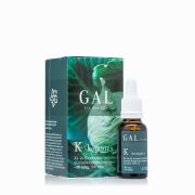  GAL K-komplex