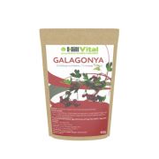  HillVital Galagonya tea 150 g